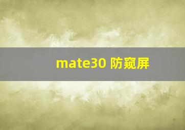 mate30 防窥屏